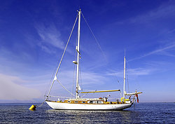 The English Shipmate
