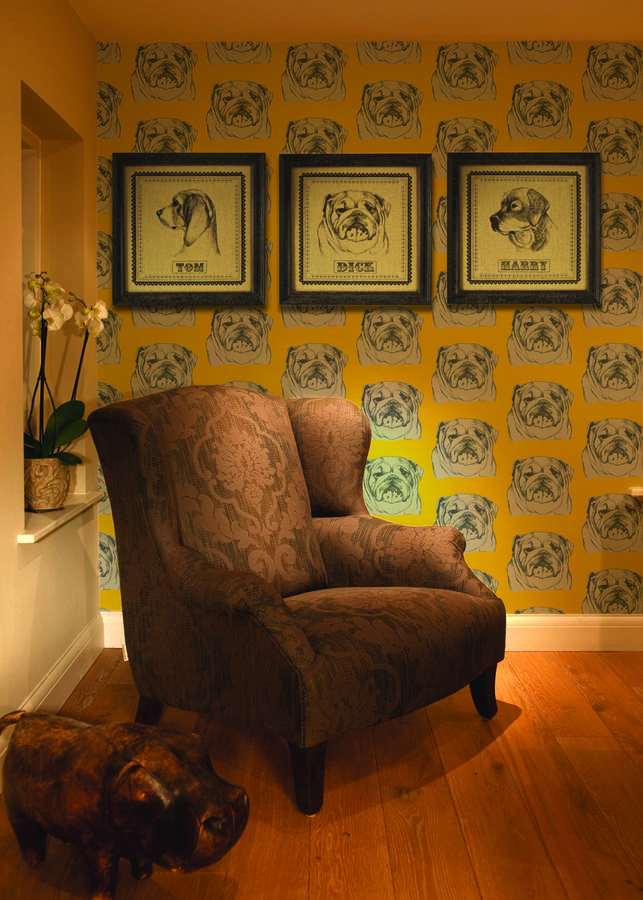 bulldog wallpapers by graduate collection | notonthehighstreet.com