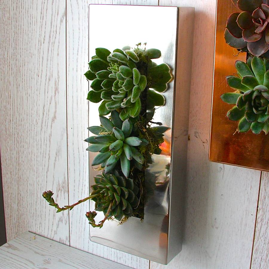 picture frame garden wall planter by london garden trading