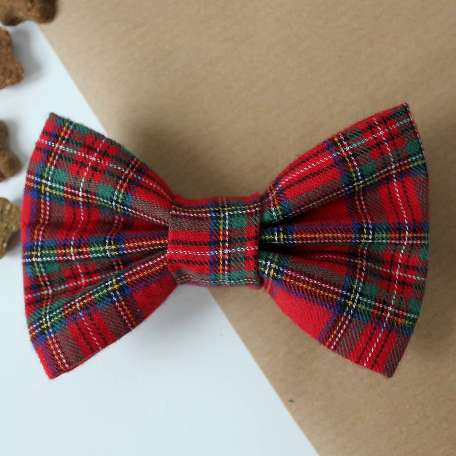 stewart tartan dog bow tie by feathers & tails