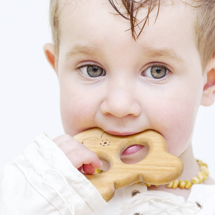 panda bear fruit teether set