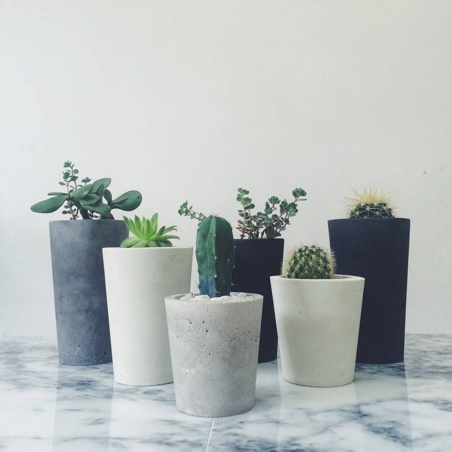 plain cement pot by sort cement