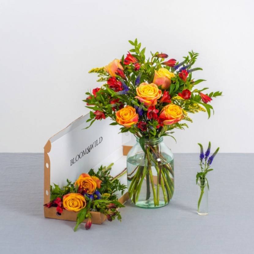 three month fortnightly letterbox flower subscription by bloom & wild