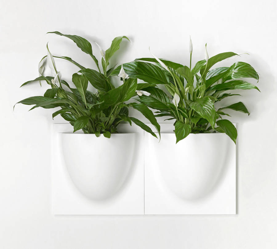 wall flower pots white four pack by grattify