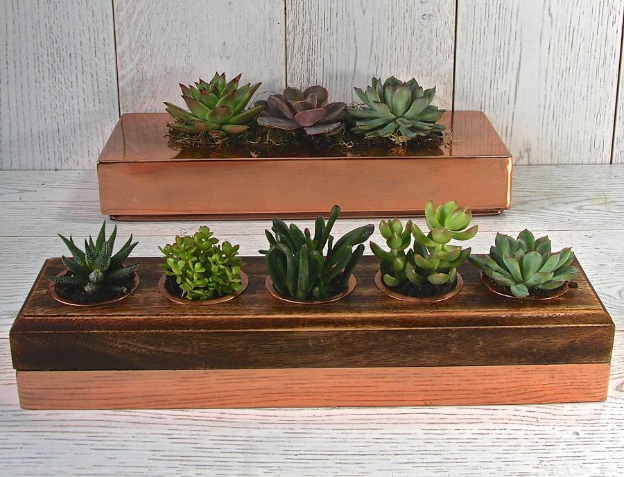 copper and wood five succulent holder by london garden trading