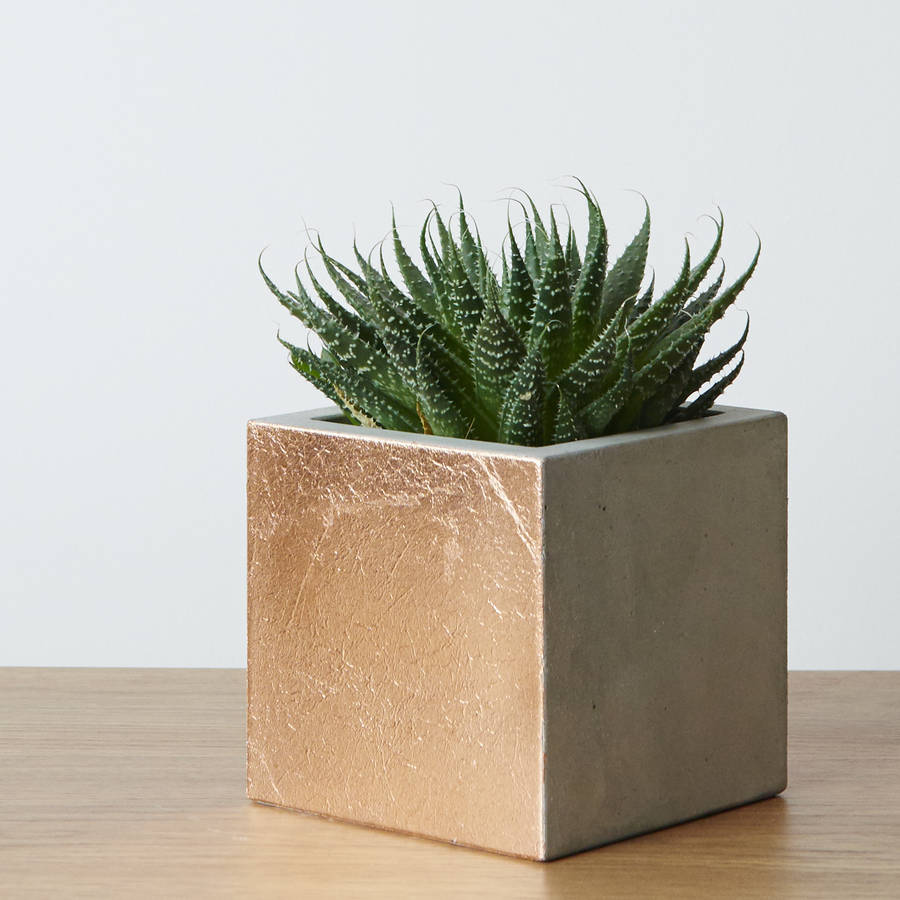 cement copper leaf planter pot by jeometric | notonthehighstreet.com