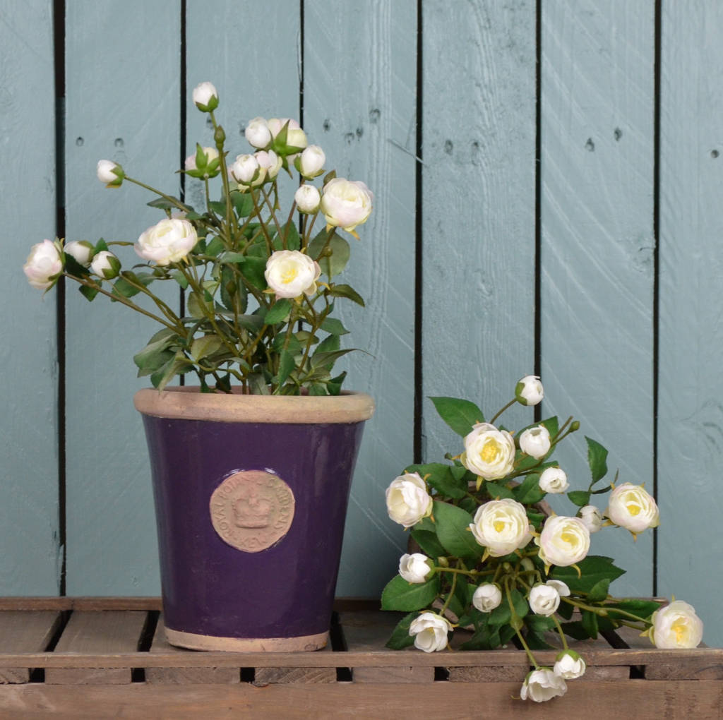 kew gardens plant pot with faux rose shrub by the orchard