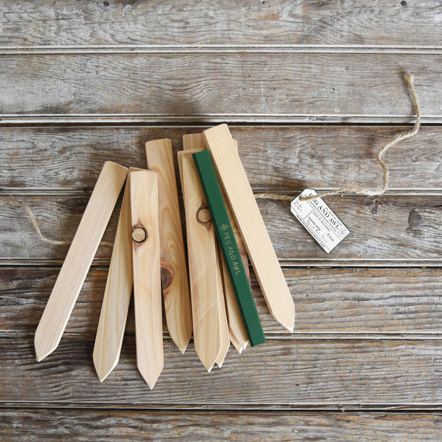 ten reclaimed wood garden markers by lime lace