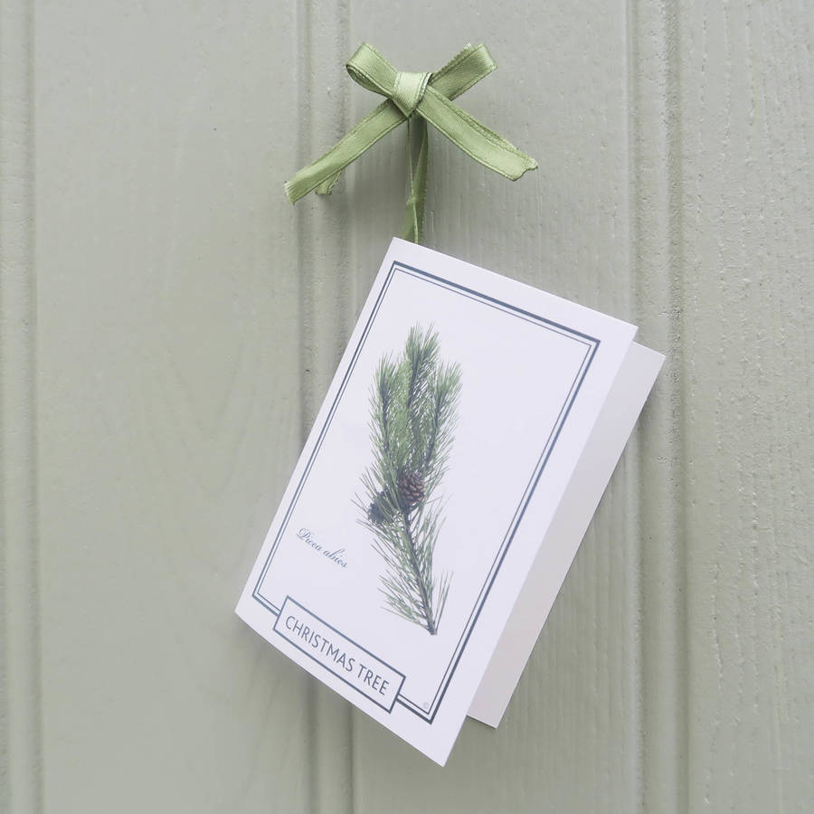 little christmas tree gift by the present tree