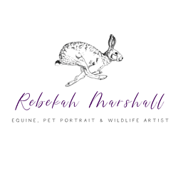 Rebekah Marshall Artist & Illustrator