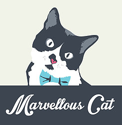 Marvellous Cat
