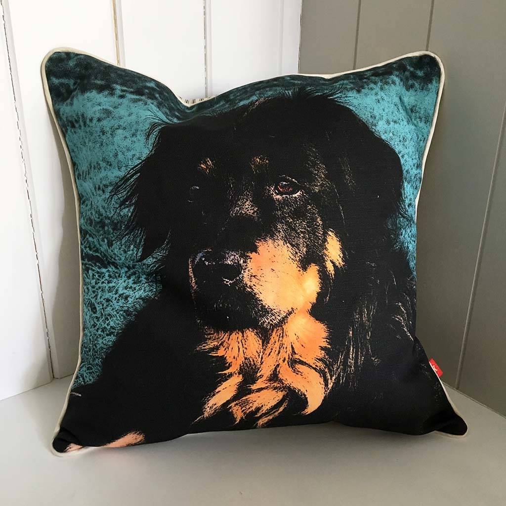 cushions with pet photos