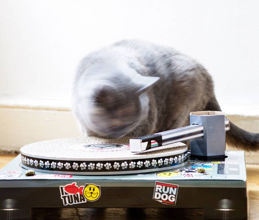 cat scratching dj deck by thelittleboysroom