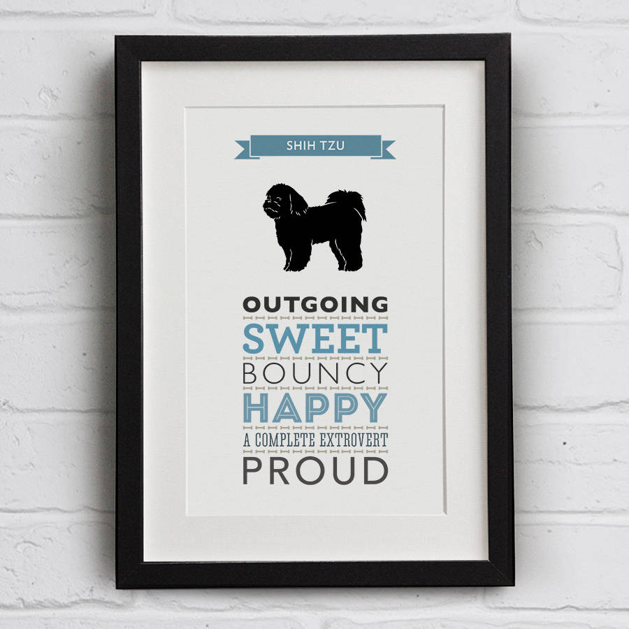 shih tzu original breed shih tzu breed traits print by well bred design shih tzu original breed shih tzu breed traits print by well bred design