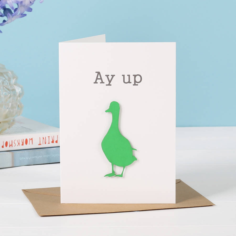 ay up duck t shirt