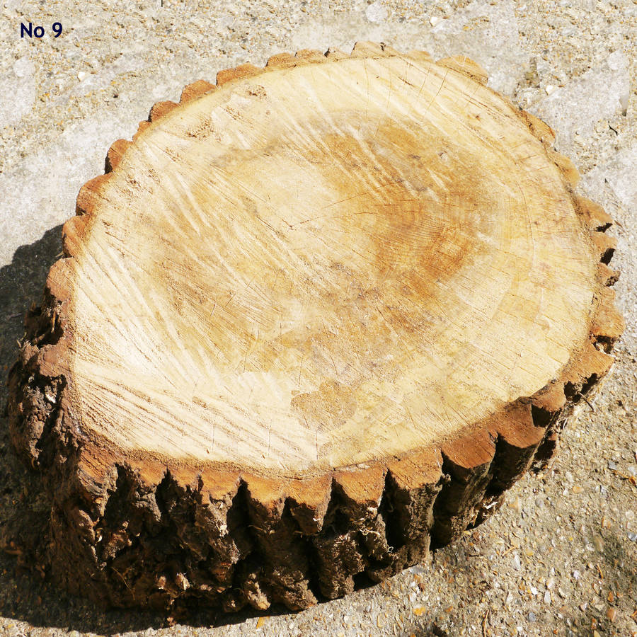 tree cake stand by cairn wood design