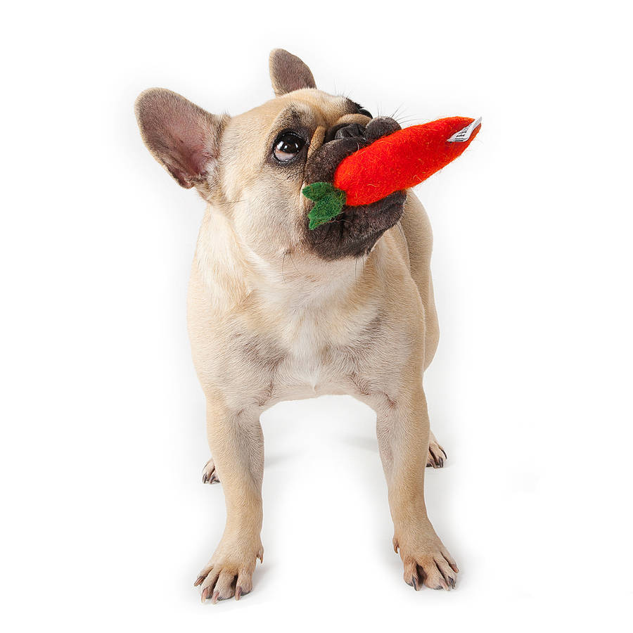 large stuffed carrot dog toy