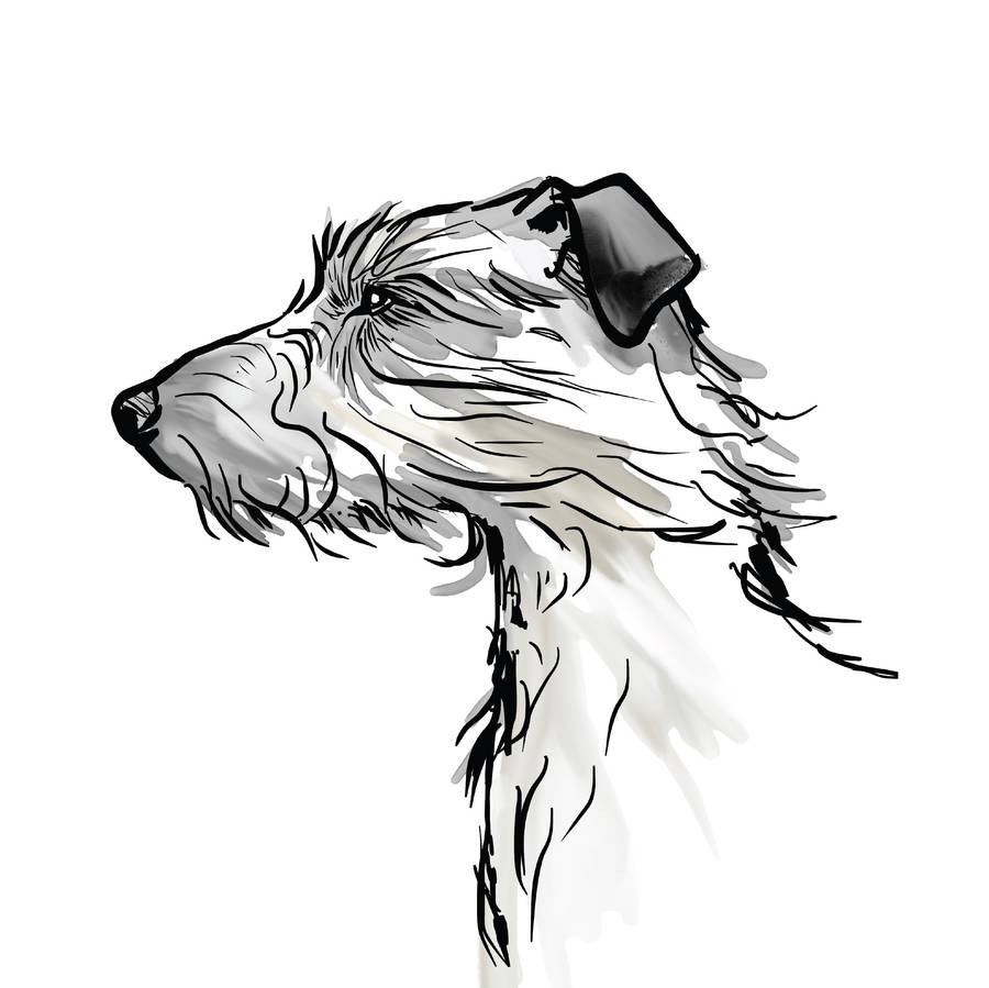 personalised lurcher art print by scribble print studio