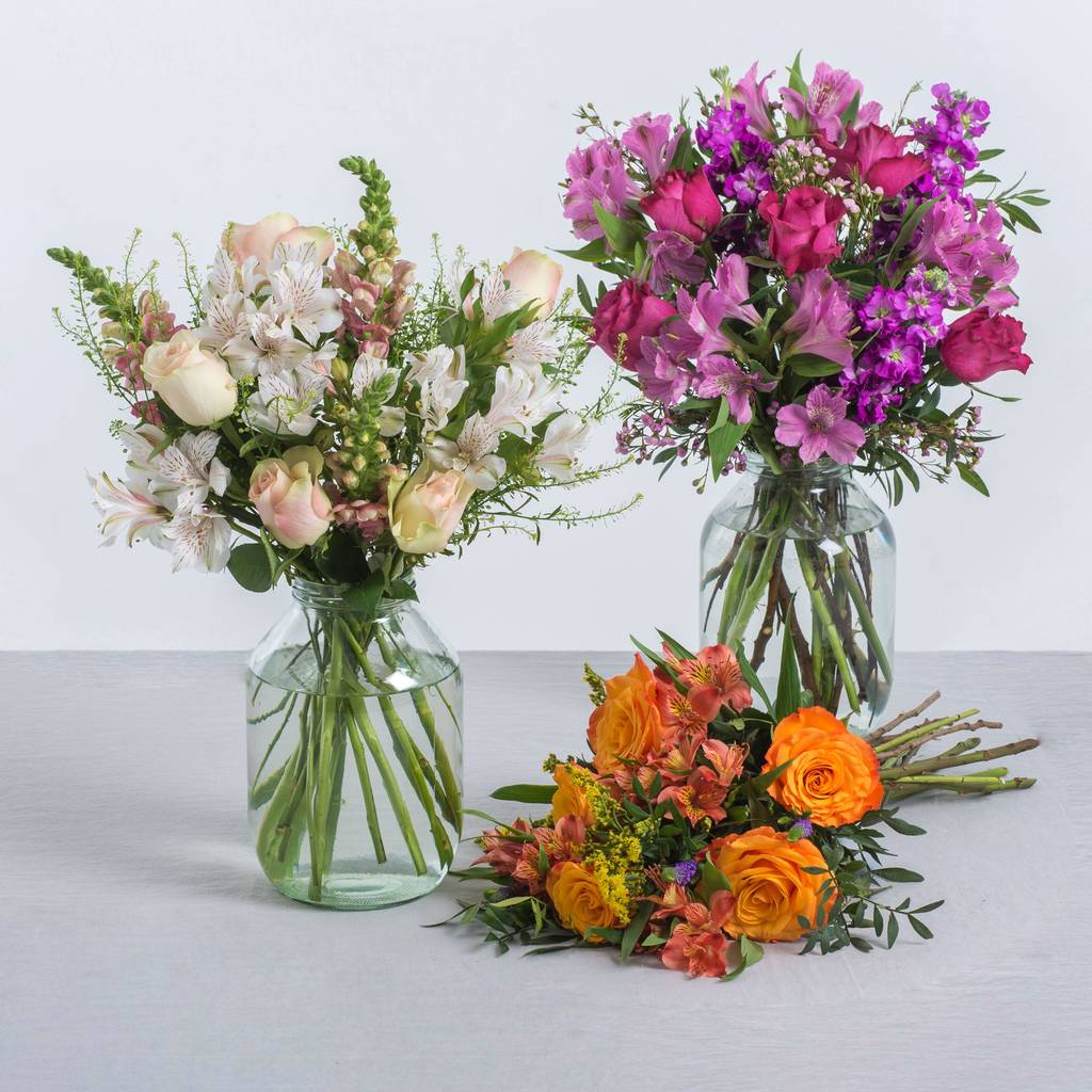 three month fortnightly letterbox flower subscription by bloom & wild