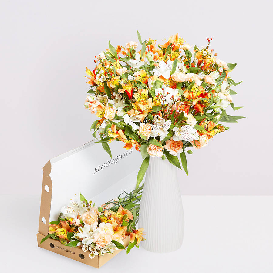 six month letterbox flower subscription by bloom & wild