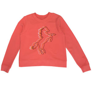 horse sweat shirt