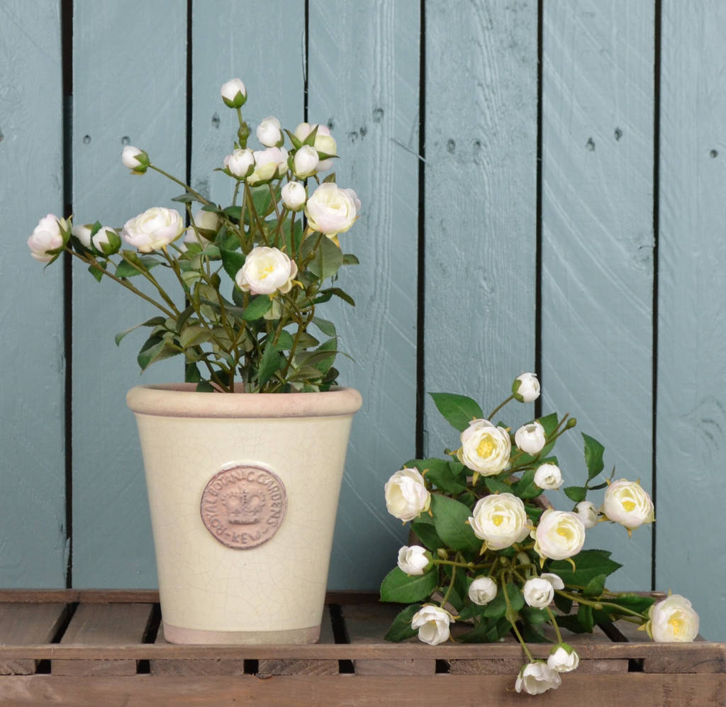 kew gardens plant pot with faux rose shrub by the orchard