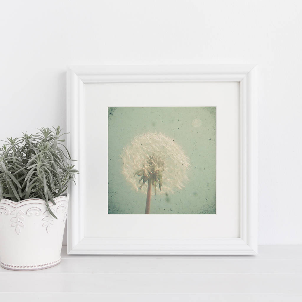 dandelion clock photographic print by cassia beck art and photography