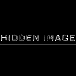 Hidden Image Logo