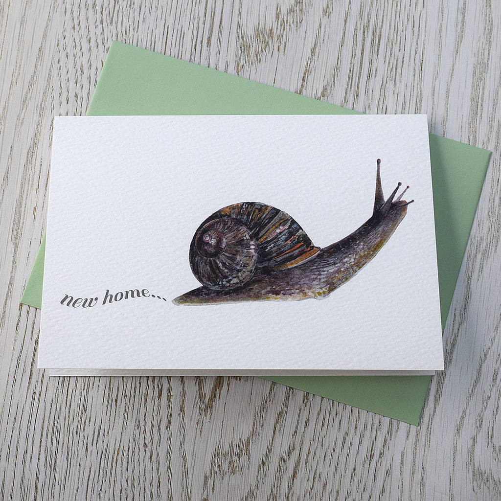 garden snail new home card by naomi stay