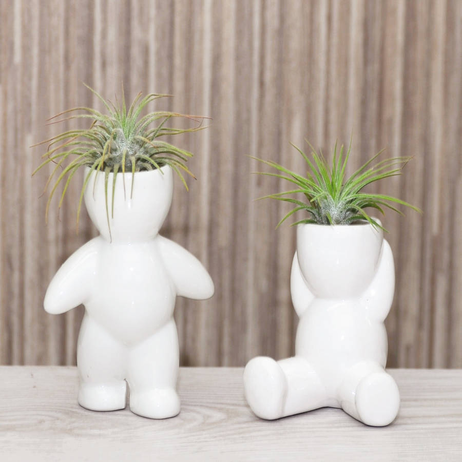 ceramic figure plant holder with plant by dingading receipt for goods