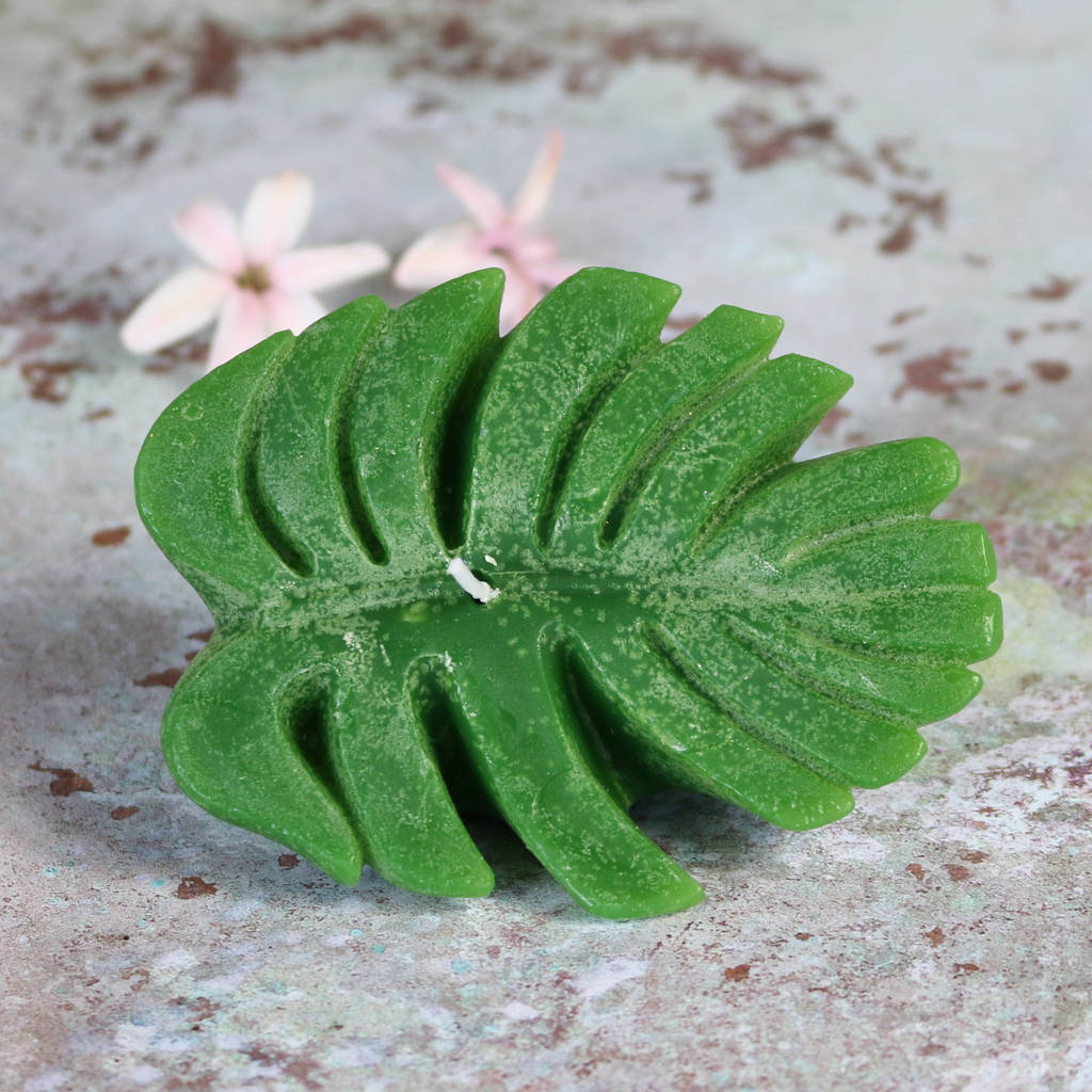 botanical leaf candle, set of two by bonnie and bell