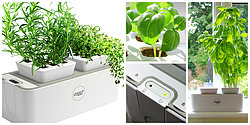 Seed Pantry