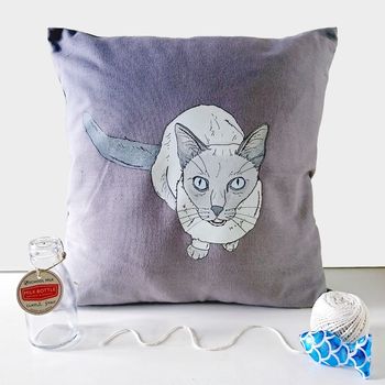 cushion of your pet