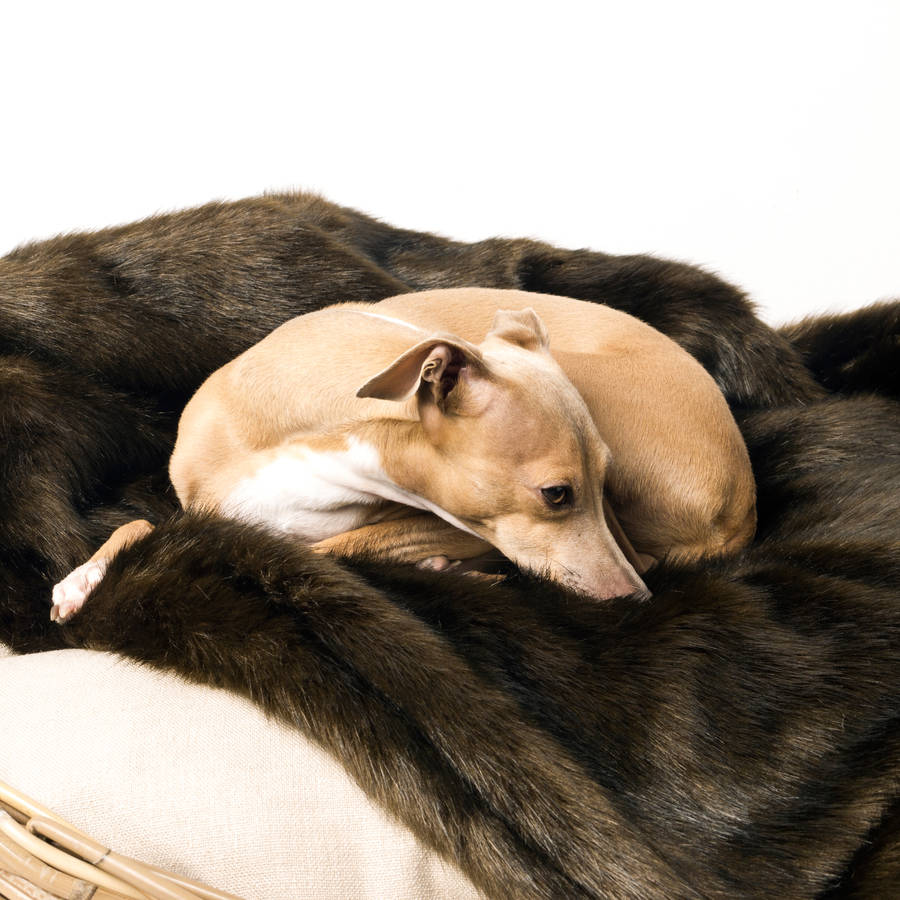 brown bear faux fur pet blanket by charley chau