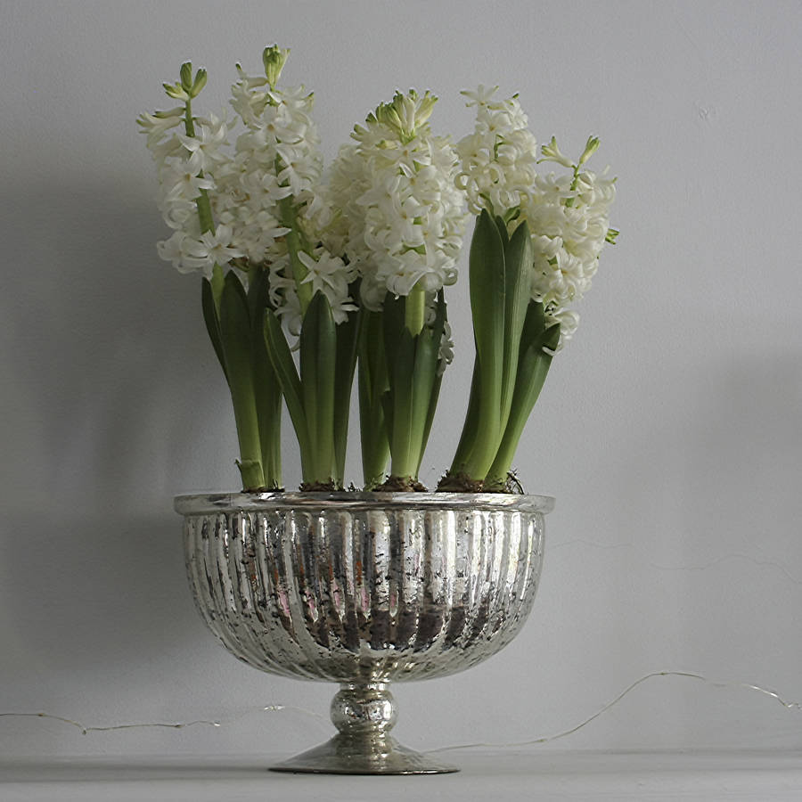 mercury glass bowl by ella james