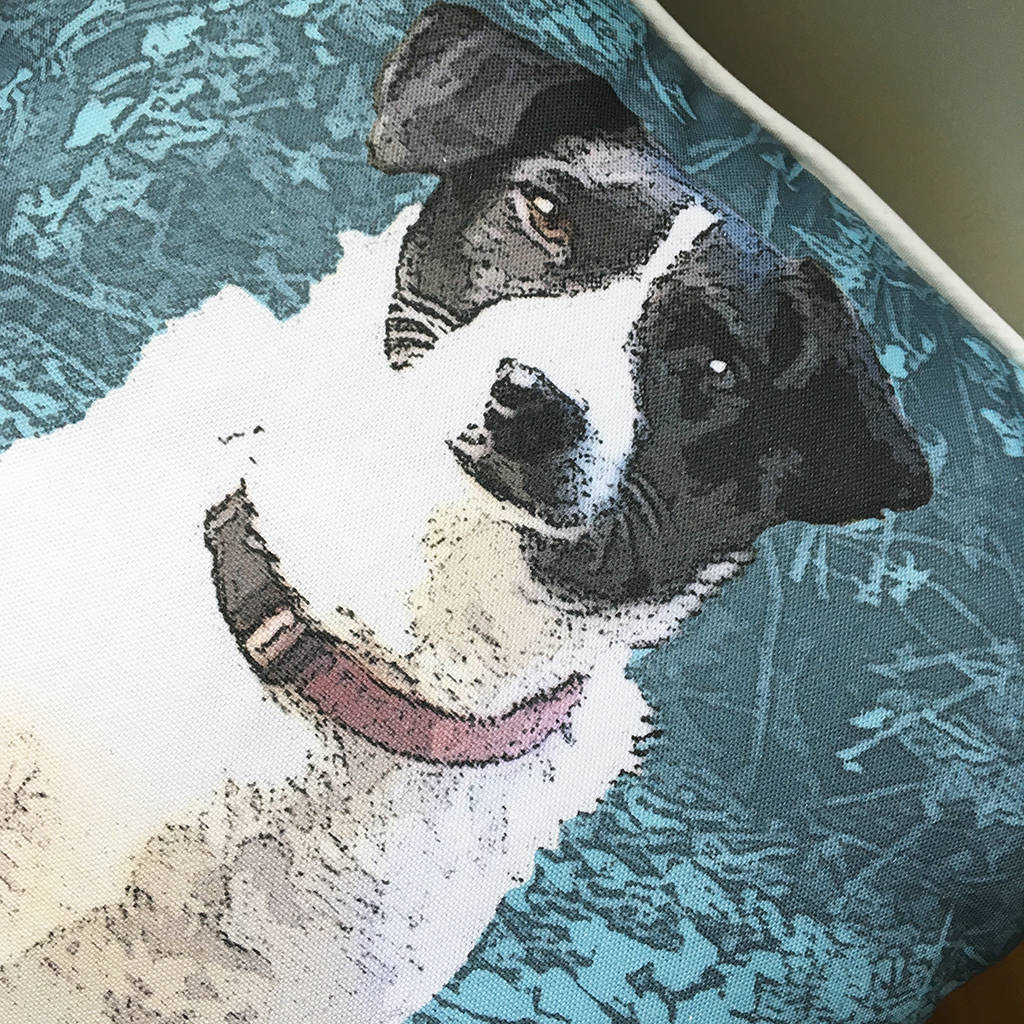 pet portrait cushion