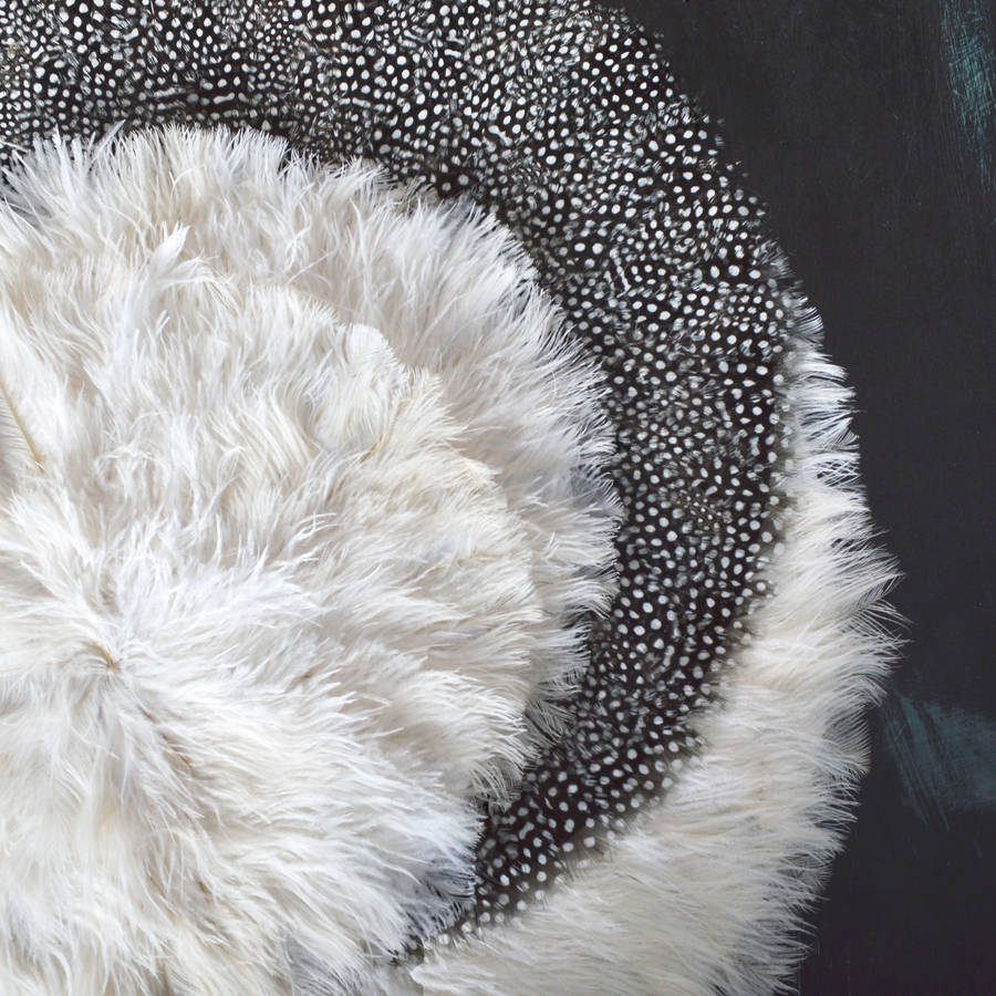 feather wall hangings by audenza