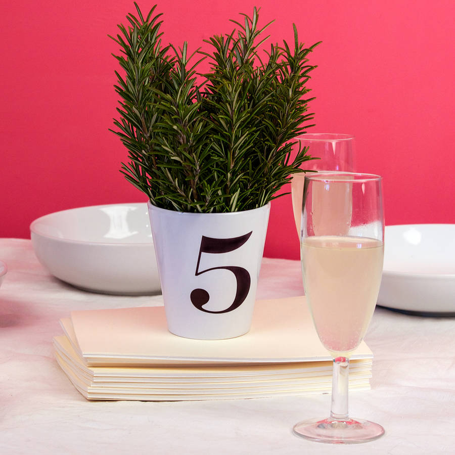 wedding table number plant pots by snapdragon