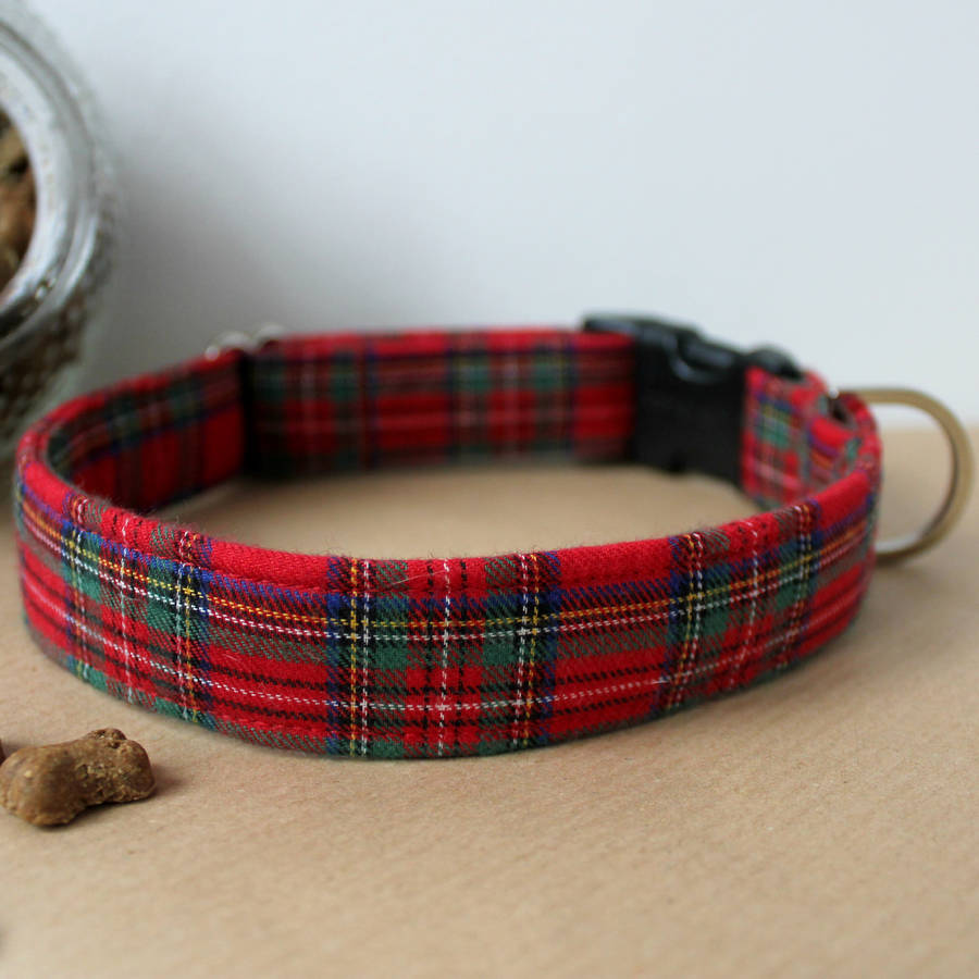 stewart tartan dog collar by feathers & tails