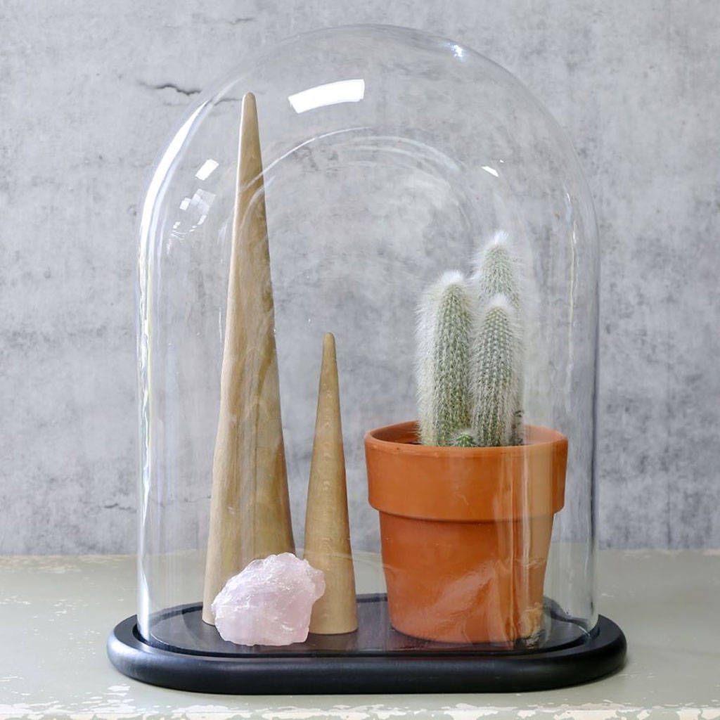 glass display dome with base by lisa angel