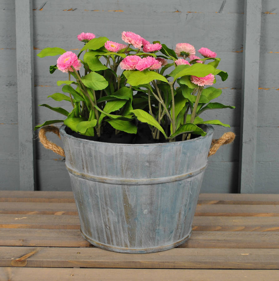 blue washed wooden pail planter by garden selections