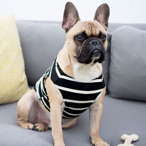 black and white striped dog shirt