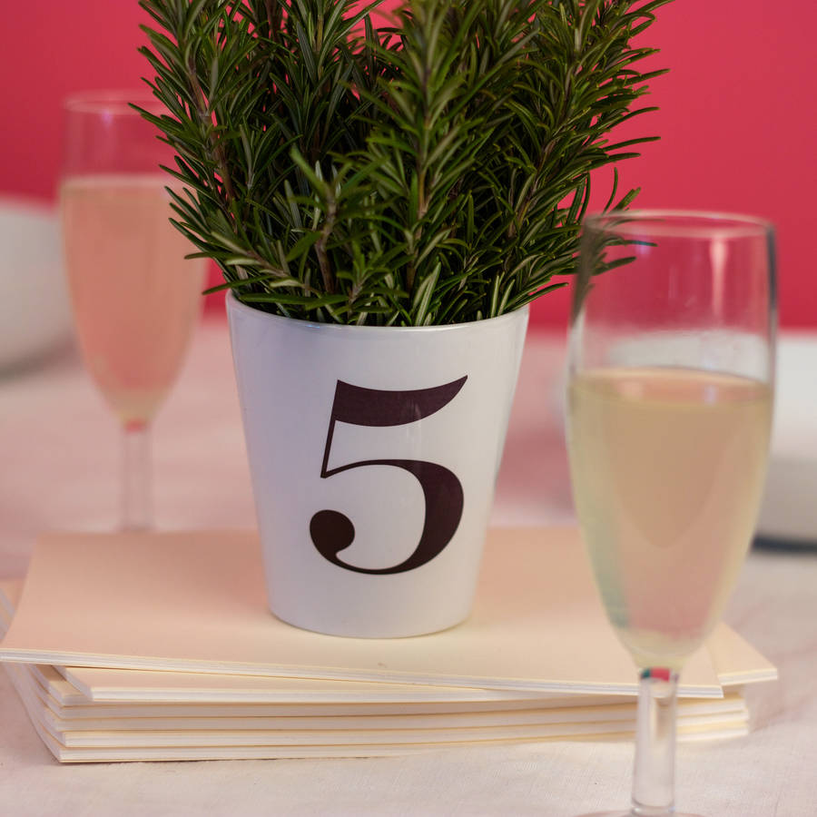 wedding table number plant pots by snapdragon