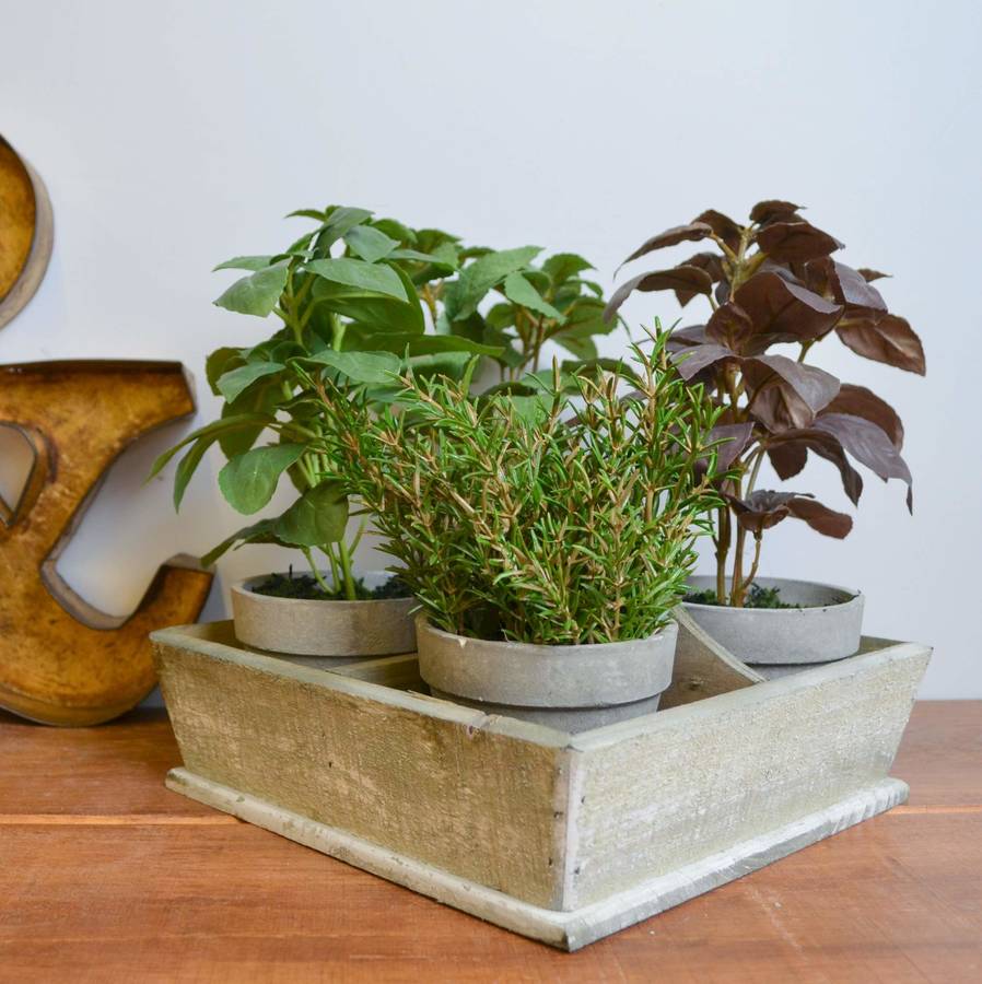 faux herb pots set of four by the orchard