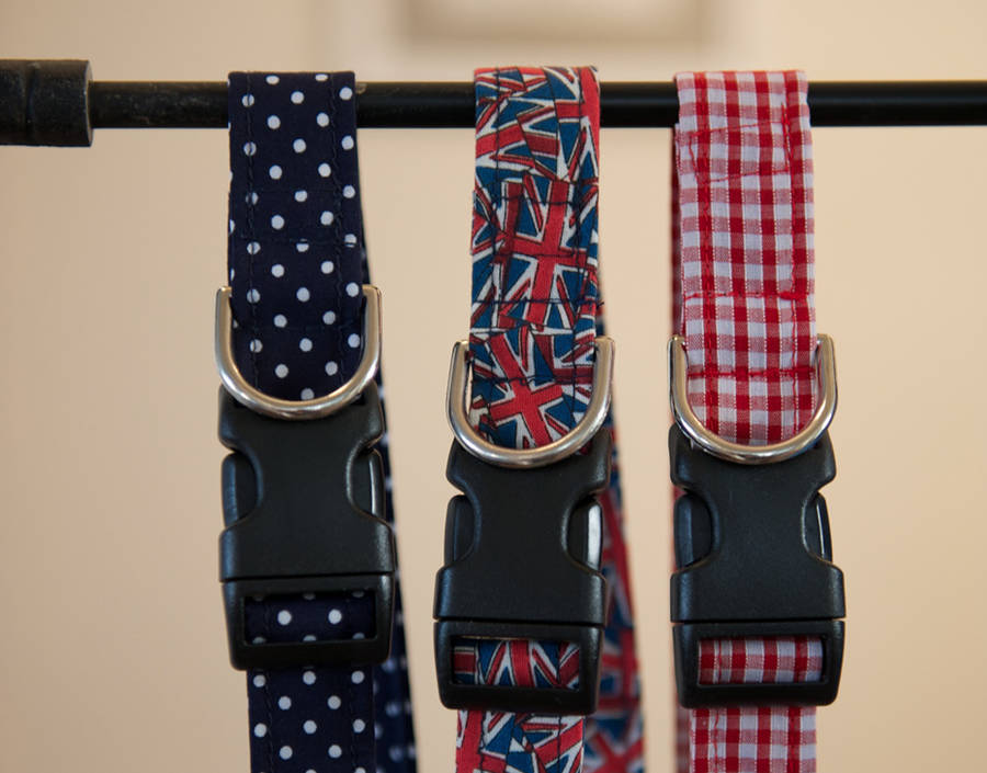 make your own dog collar kit by the dandy dog company