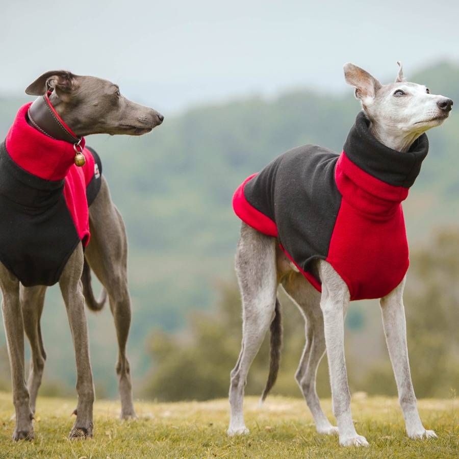 two tone fleece dog jumper by redhound for dogs