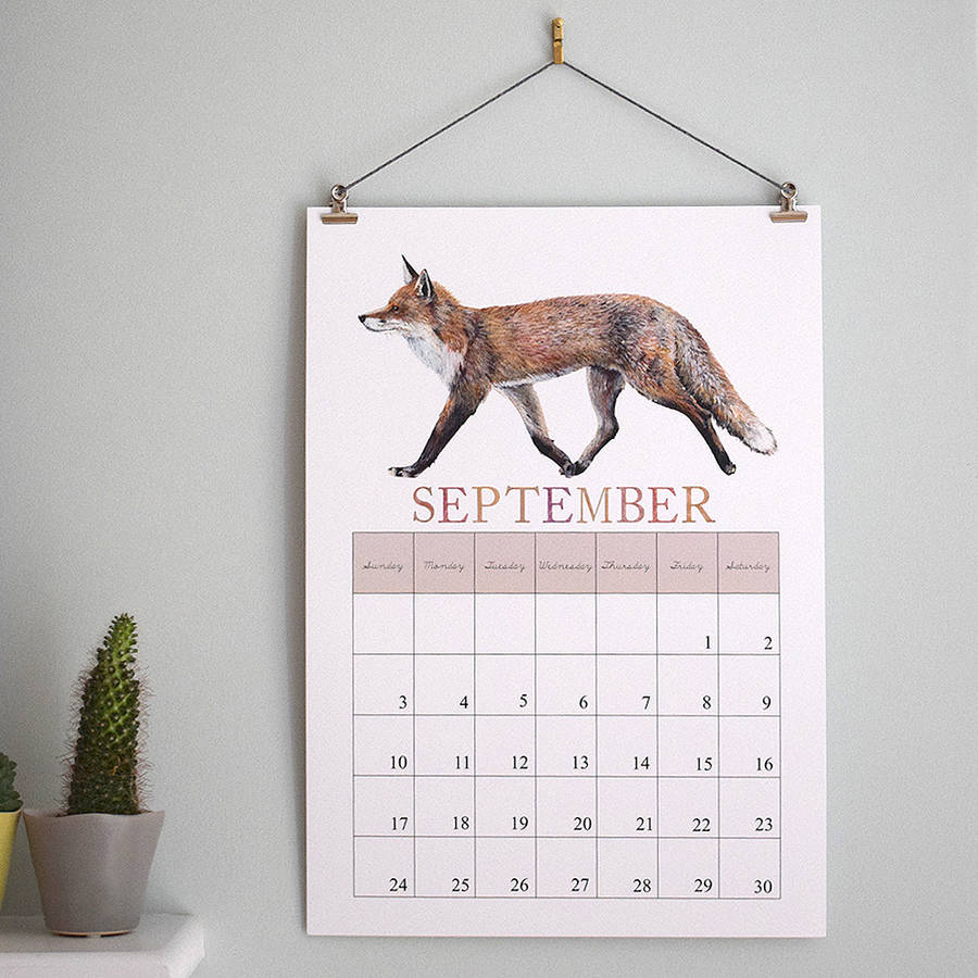 2017 illustrated wall calendar a3 by naomi stay