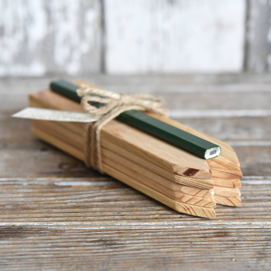 ten reclaimed wood garden markers by lime lace