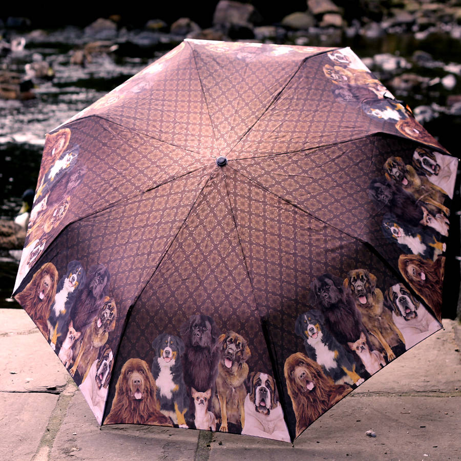 go fetch dog umbrella by umbrella. bella
