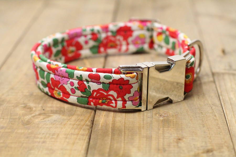 poppy liberty dog collar by the spotted dog company